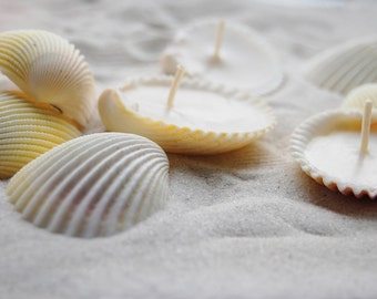 Eco-friendly Scented Handmade Seashells Candles - Set Of 24 units, Soy Candles, Home Scents, Beach Wedding Favor Decorations