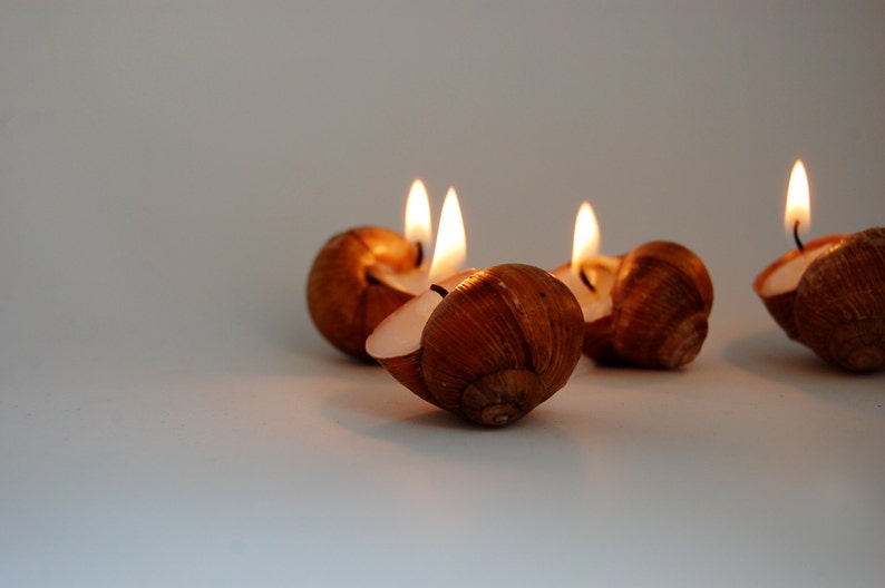 Snail Shell Candles Set of 6, Scented Eco Friendly Candles, Christmas Gift, Housewarming Gift, Hygge Home Decor, Home Scents image 3