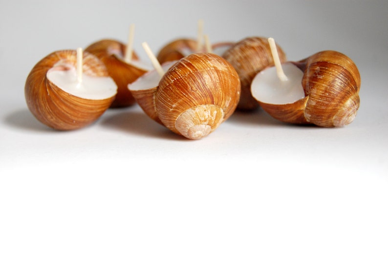 Snail Shell Candles Set of 6, Scented Eco Friendly Candles, Christmas Gift, Housewarming Gift, Hygge Home Decor, Home Scents image 4