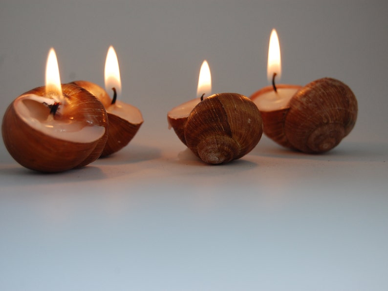 Snail Shell Candles Set of 6 Scented Eco friendly Candles Etsy