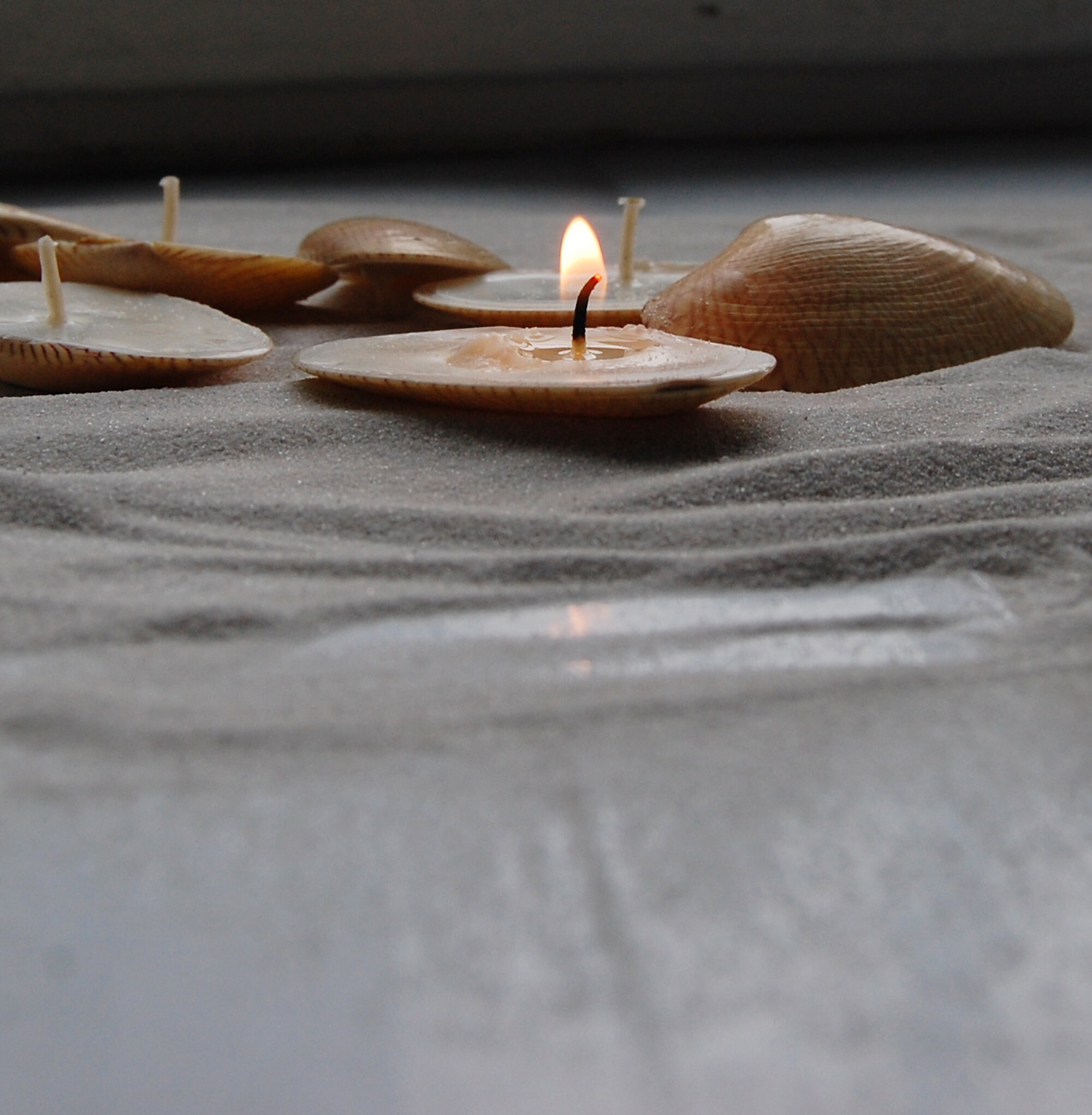 Bougies Scented River Shell Set de 8 Pcs, Hygge Home Decor, Cadeau de La Saint-Valentin, Parfums Pou