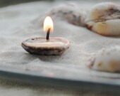 Scented Seashells Candles Handmade Eco-friendly Candles  - Set Of 16 pcs