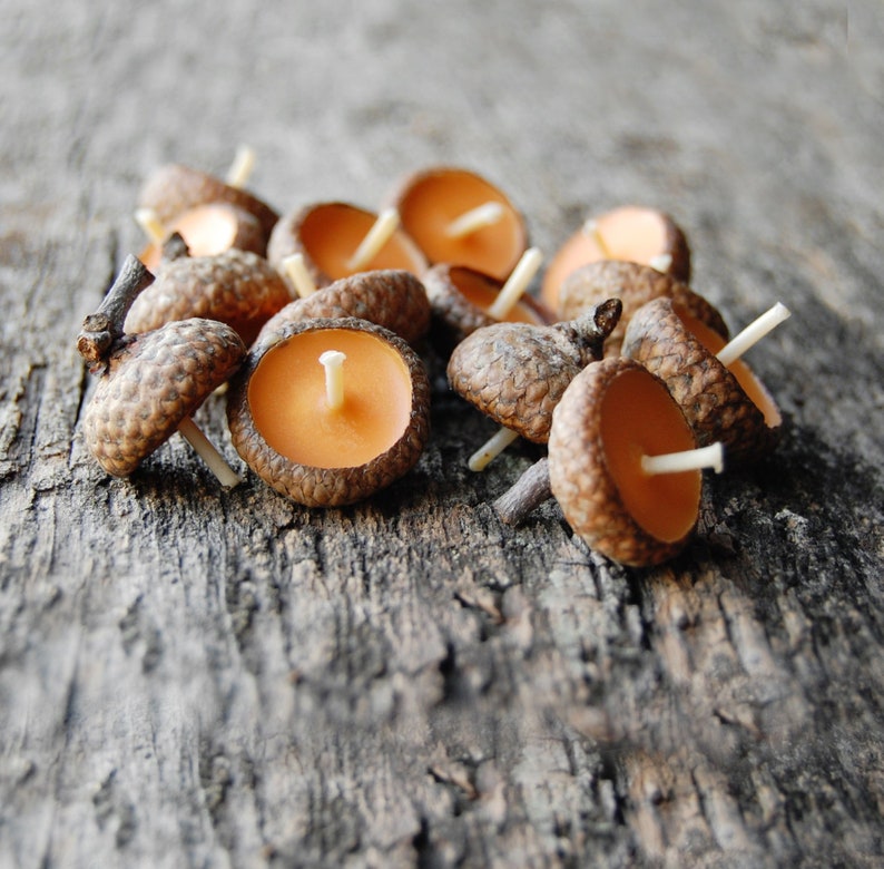 Acorn Cap Candle, Eco Friendly Floating Cinnamon Scented Candles, Holiday Ornaments, Autumn Candles, Christmas Gift, Hygge Home Decor image 1