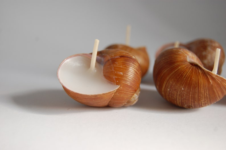 Snail Shell Candles Set of 6, Scented Eco Friendly Candles, Christmas Gift, Housewarming Gift, Hygge Home Decor, Home Scents image 5