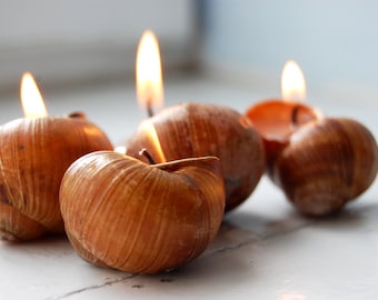 Snail Shell Candles Set of 6, Scented Eco Friendly Candles, Christmas Gift, Housewarming Gift, Hygge Home Decor, Home Scents