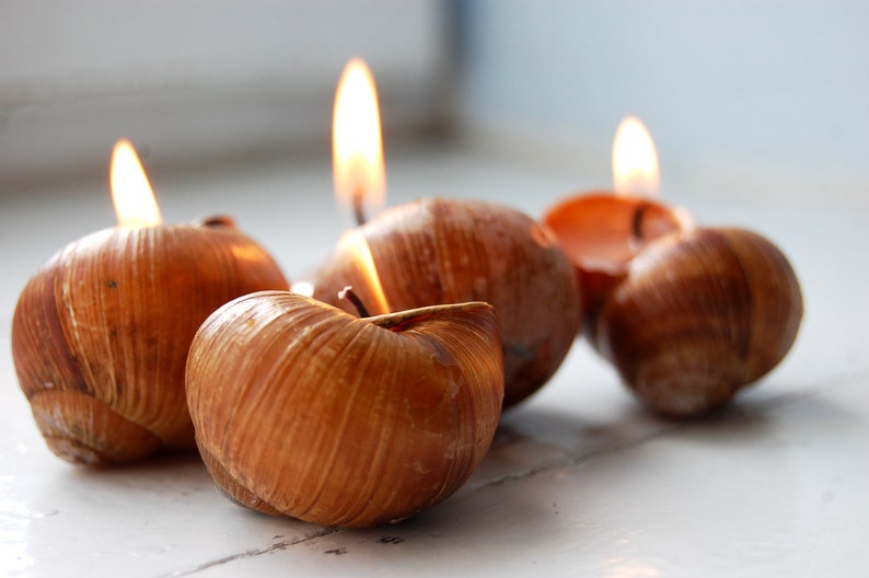 Snail Shell Candles Set of 6, Scented Eco Friendly Candles, Christmas Gift, Housewarming Gift, Hygge Home Decor, Home Scents image 1