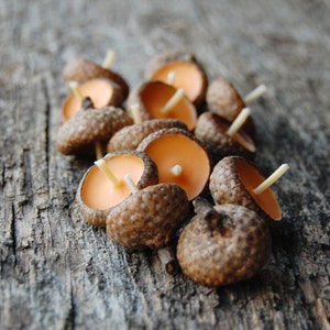 Acorn Cap Candle, Eco Friendly Floating Cinnamon Scented Candles, Holiday Ornaments, Autumn Candles, Christmas Gift, Hygge Home Decor image 3