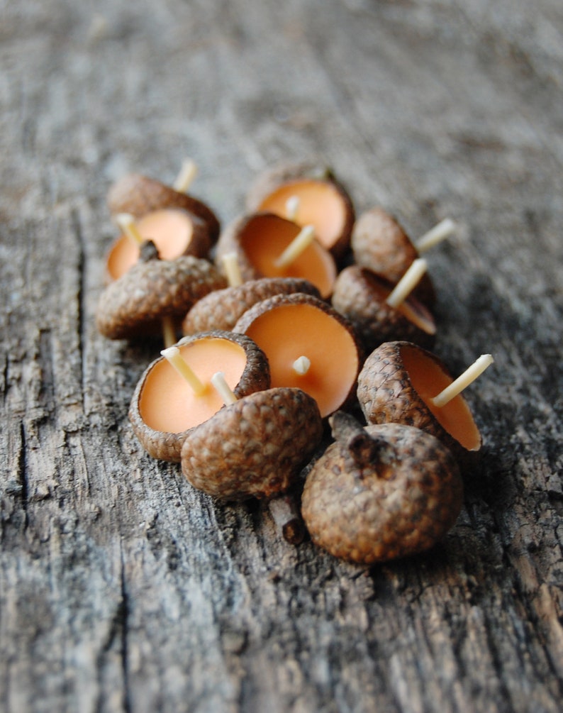Acorn Cap Candle, Eco Friendly Floating Cinnamon Scented Candles, Holiday Ornaments, Autumn Candles, Christmas Gift, Hygge Home Decor image 3