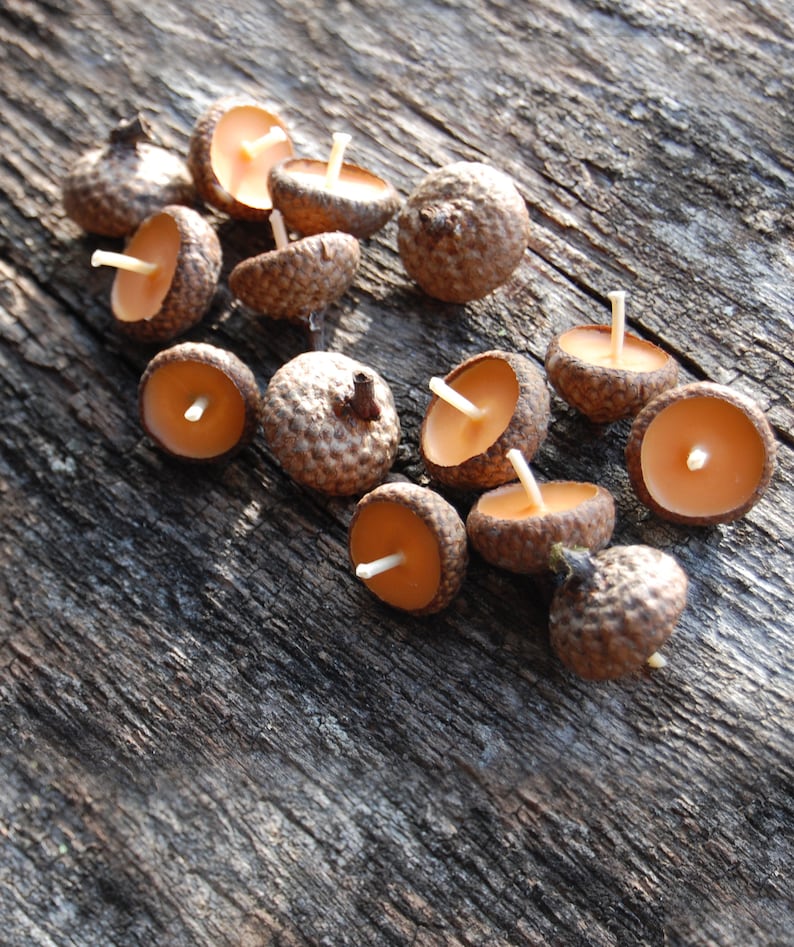 Acorn Cap Candle, Eco Friendly Floating Cinnamon Scented Candles, Holiday Ornaments, Autumn Candles, Christmas Gift, Hygge Home Decor image 4