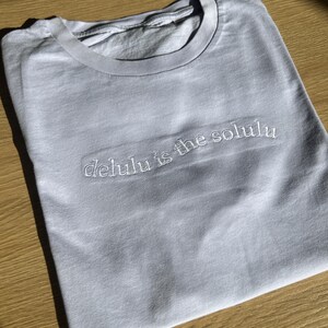Pode incluir: Uma camiseta azul clara com o texto bordado "delulu is the solulu". A camiseta tem gola redonda e é feita de um material macio. A camiseta está sobre uma superfície de madeira.