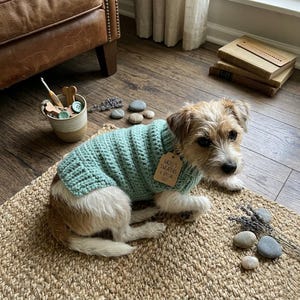 May include: A small dog wearing a light teal crocheted sweater with a tag that reads "Hazel's Sweaters, A Special Gift." The dog is lying on a woven mat, with decorative stones and lavender sprigs scattered around.