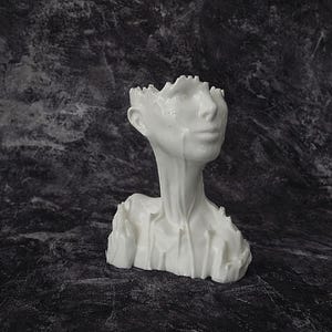 May include: A white ceramic bust of a human face and upper torso. The head is hollow, with a jagged edge at the top. The face has a serene expression, with a smooth surface and subtle details. The neck and shoulders have a textured, organic appearance.