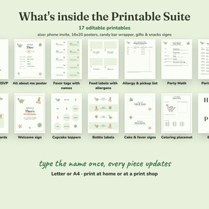 Everything included in the Roarsome Dino kids birthday party Printable Suite