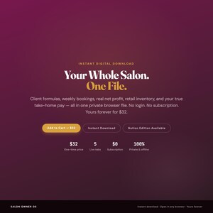 Salon Business Planner, Client Formulas, Bookings, Income Tracker (Browser File) image 10