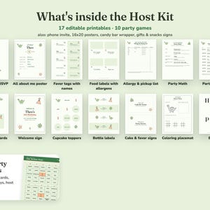 Everything included in the Roarsome Dino kids birthday party Host Kit