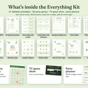 Everything included in the Roarsome Dino kids birthday party Everything Kit