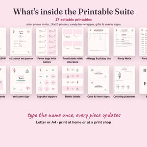 Everything included in the Heres The Scoop kids birthday party Printable Suite