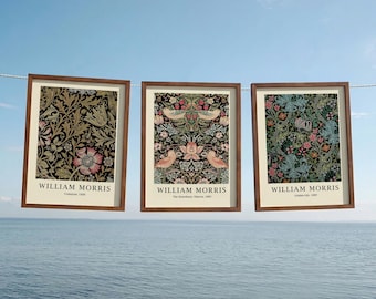 Set of 3 William Morris Framed Prints, Botanical Wall Decor, Vintage Green Pattern Poster, Retro Canvas