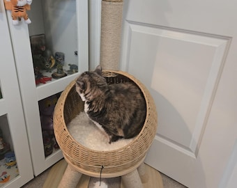 46 Inch Modern Cat Tree with Rattan Cat Condo & Scratching Post