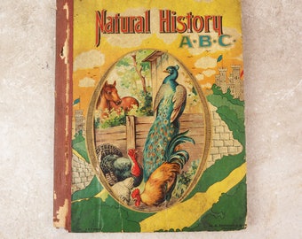 Natural History- Antique Book- Pub Donohue & Co., Chicago- Late 1800's- Profusely Illustrated- Hardback book- etchings- repurposing framing