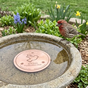 Op de afbeelding: Een stenen vogelbad met een koperen zuiveringsschijf en een kleine vogel die op de rand zit. Op de koperen schijf staat "99,9% puur koper" en "Vogelbad Zuiveringsschijf". De woorden "Nature's Purifier" en "Welcome, Friends" zijn ook zichtbaar.
