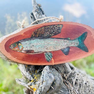 May include: A hand-painted illustration of a grayling fish on a natural oval wood slice. The fish features iridescent blue, green, and silver scales with a prominent dorsal fin. A jute twine loop is attached to the top for hanging purposes.