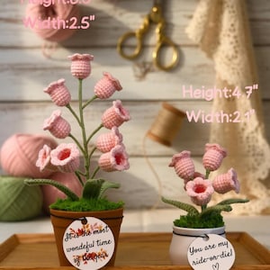 May include: Two handmade crochet flower arrangements in small pots. One is 8.3 inches tall and 2.5 inches wide, the other is 4.7 inches tall and 2.1 inches wide. Each has pink flowers and green leaves. One pot has a tag that says "It is the most wonderful time of the year". The other pot has a tag that says "You are my ride-or-die!"
