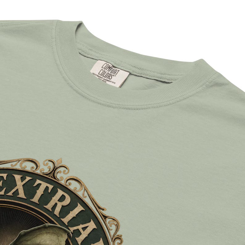 Wextrian Water & Power unisex garment-dyed heavyweight t-shirt | Steampunk Fantasy Worldbuilding Apparel | TTRPG and Book Lover Gift