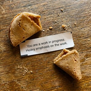 May include: A broken light brown fortune cookie with a white paper slip featuring the black printed text: You are a work in progress. Heavy emphasis on the work. The cookie is split into two pieces with small crumbs scattered around the paper strip.