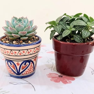 Set of 2 Moroccan Ceramic Plant Pots | Handmade Painted Cache Pot for Succulents | Bohemian Home Decor