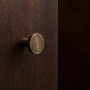 May include: A circular cabinet knob with a brushed antique brass finish, featuring a flat front face and a cylindrical base, mounted onto a dark brown wooden surface with a visible vertical grain pattern and a smooth, matte texture.