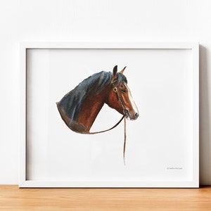 Impressão de retrato em aquarela de cavalo de baía com freio ocidental por Candice da Piq Design