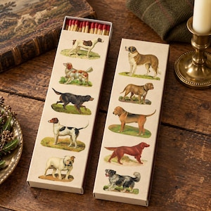 May include: Two rectangular matchboxes featuring illustrations of various dog breeds on the front. The left box shows six dogs, including a pointer and a bulldog, while the right box displays five dogs, including a hound and a setter. Red-tipped matches are visible at the top of the left box.