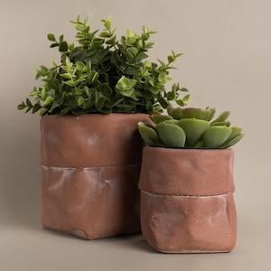May include: Two terracotta-coloured planters, one large and one small, each holding greenery. The larger planter has a leafy green plant, while the smaller one contains a succulent. The planters have a textured, folded paper bag appearance.