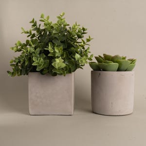 May include: Two small concrete planters in neutral tones. One is square and holds a leafy green plant. The other is cylindrical and contains a green succulent. The plants provide a pop of colour against the muted background.