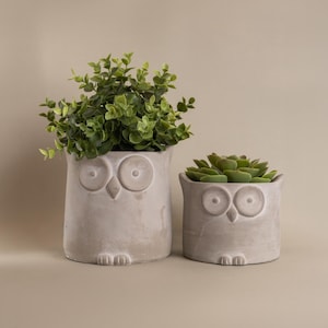 May include: Two owl-shaped plant pots, one large and one small, made of light grey concrete. The pots feature large, round eyes and small feet. The larger pot holds a green leafy plant, the smaller one a succulent.