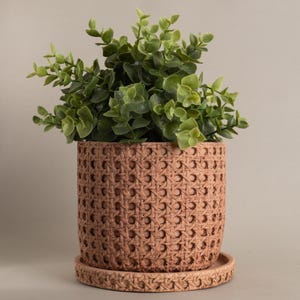 May include: A terracotta-coloured plant pot with a woven design, holding a vibrant green plant. The pot sits on a matching saucer. The plant has many small, round green leaves. The pot and saucer are made of ceramic.