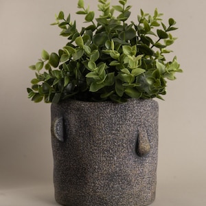 May include: A grey, textured ceramic pot with a green plant. The pot is cylindrical with two small, rounded, ear-like protrusions. The plant has many small, green leaves. The pot is suitable for indoor use.