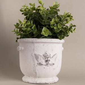 May include: A white, distressed-finish planter pot with a cherub design and green foliage. The pot has a textured surface, two small side handles, and a pedestal base. The green plant has small, round leaves.