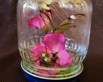 Pink Butterfly & Beetle Oddity Jar with Flowers and Moss: Repurposed Bottle, Vintage Insect Specimens