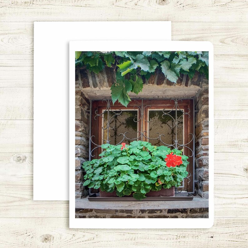 European Window Blank Photo Card Sets ( 6 Cards) - Etsy