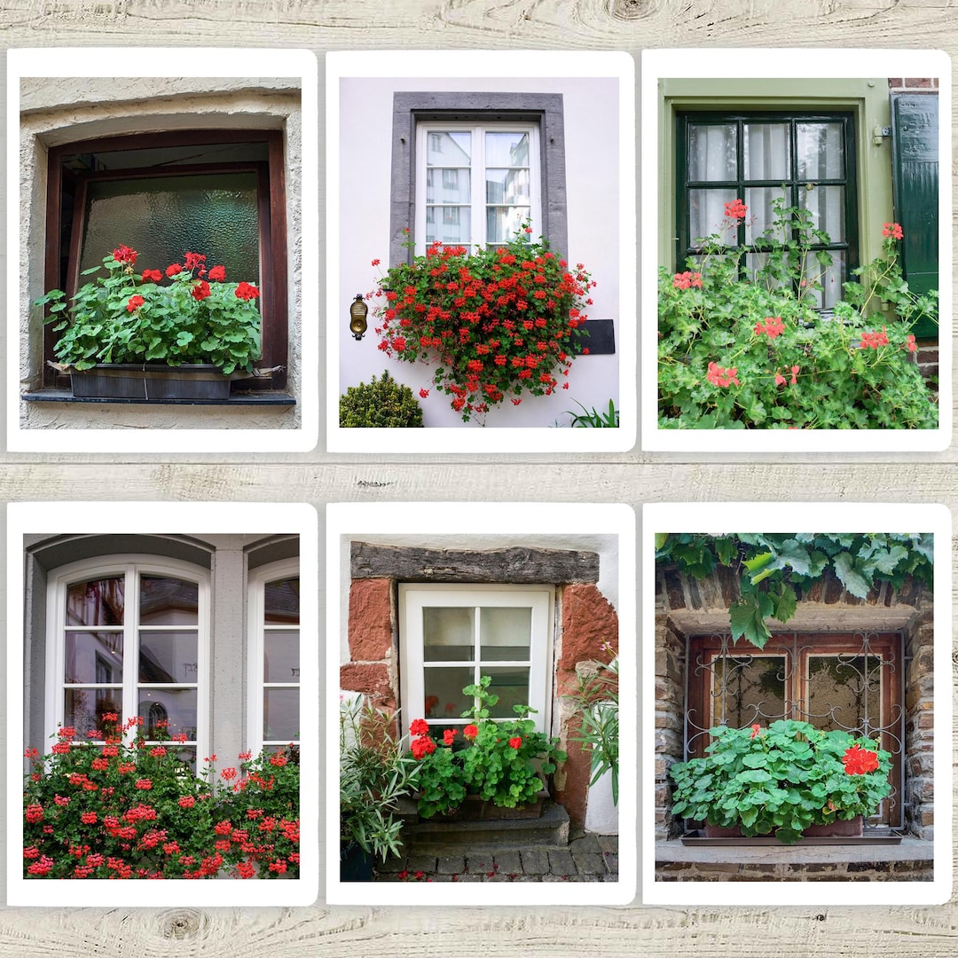 Window Cardboard Mini European Window Blank Photo Card Sets ( 6 Cards) - Etsy