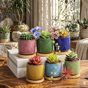 May include: A selection of colourful ceramic planters, each holding succulents and cacti. The planters are in pink, green, blue, and yellow, and sit on wooden saucers. The plants display a variety of textures and colours, creating a vibrant arrangement.