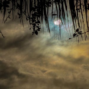 May include: A dramatic landscape photograph featuring a cloudy sky with a bright sun peeking through. Silhouetted foliage frames the top and sides, creating a natural border. The sky transitions from a bright center to darker tones.