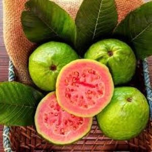 May include: A collection of fresh guavas in a woven basket, featuring two whole green guavas and two halved guavas displaying a vibrant pink interior with visible seeds, accompanied by several large, textured green leaves.