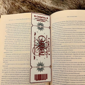 Pode incluir: Um marcador de página retangular branco com texto e gráficos em vermelho, apresentando a palavra CARAVAL, a frase ADMIT ONE e um código de barras na parte inferior. O design inclui estrelas, emblemas circulares e linhas decorativas num livro.