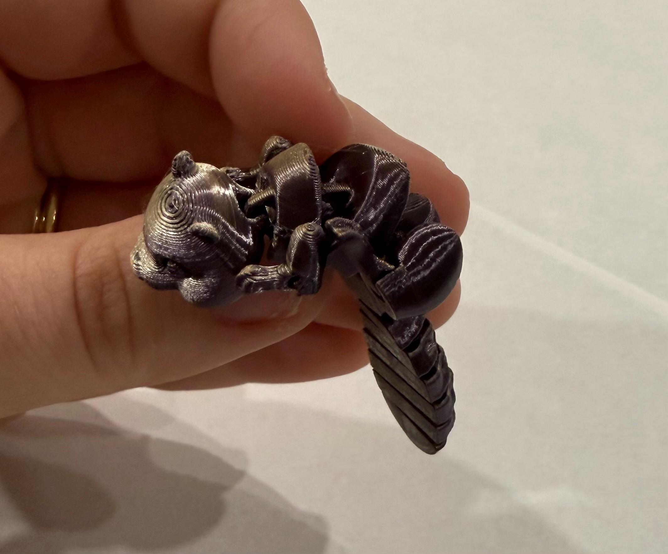 3D Printed Articulated Beaver Fidget Toy - Etsy