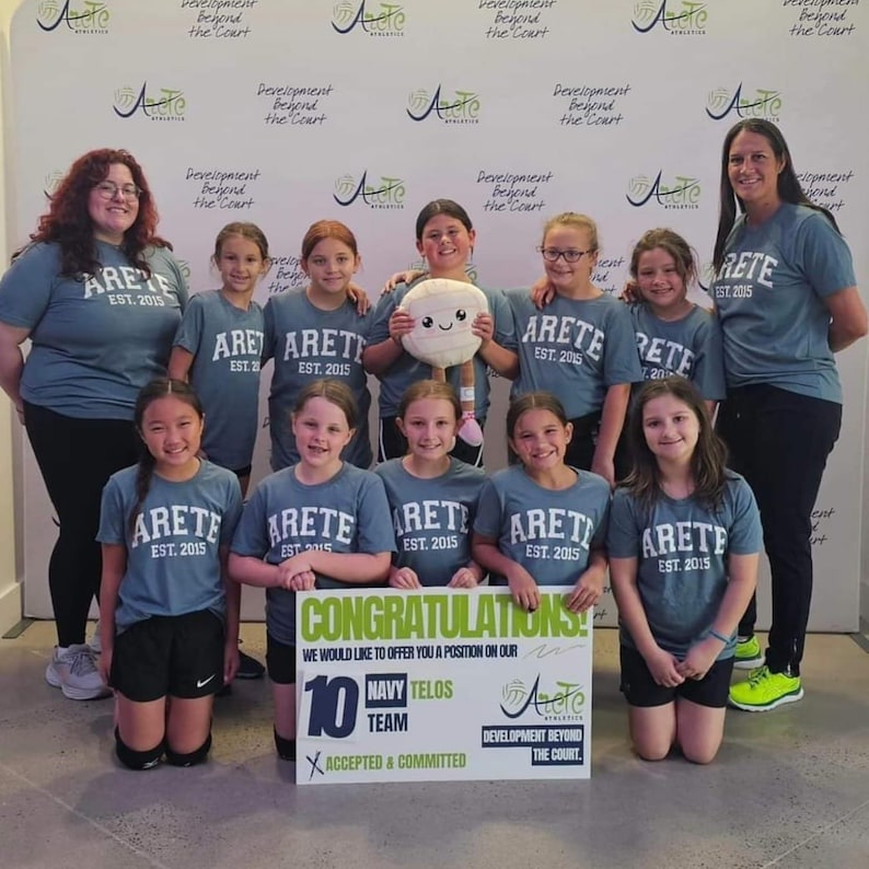 Back in Stock Velvet Plushie Volleyball Soft Squishy Volleyball With