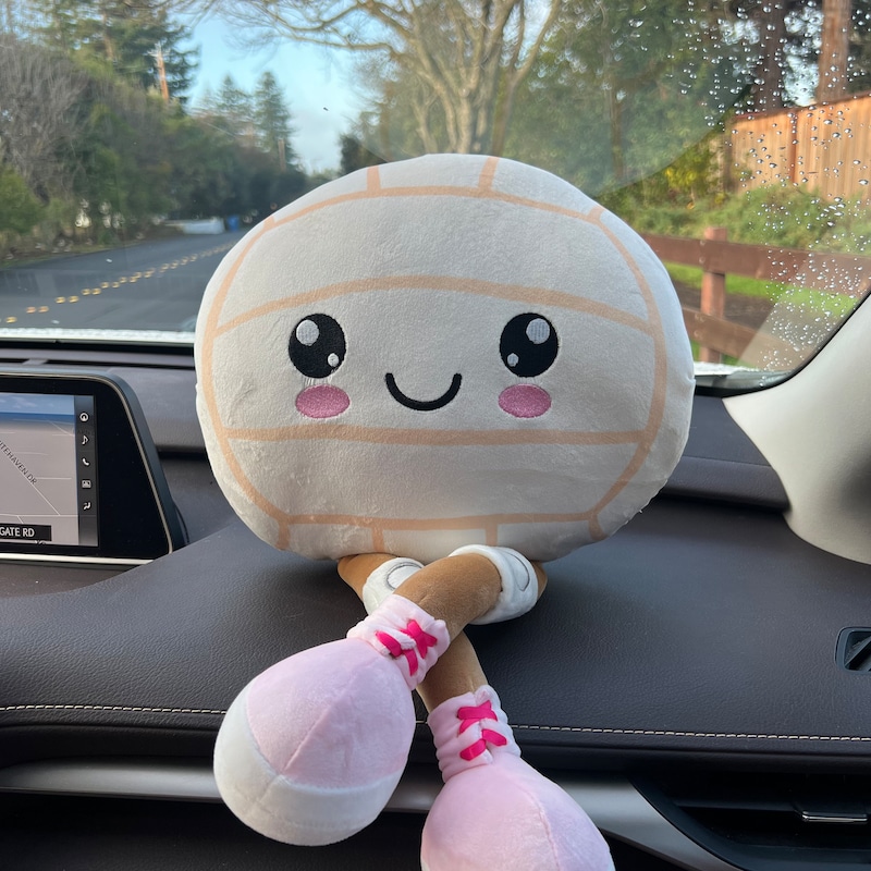 Just restocked! Velvet Plushie Volleyball – Soft Squishy Volleyball with Legs | Travel Buddy | Volleyball Decor