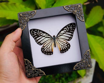 ガラスの虎フレーム